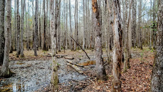 $156,000 | 0 Elijah Graham Road, Noxapater, MS 39346