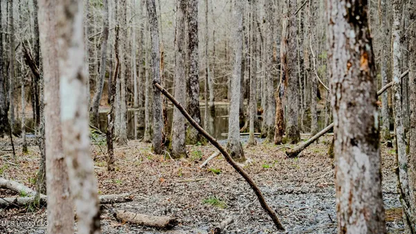 $150,000 | 0 Elijah Graham Road, Noxapater, MS 39346