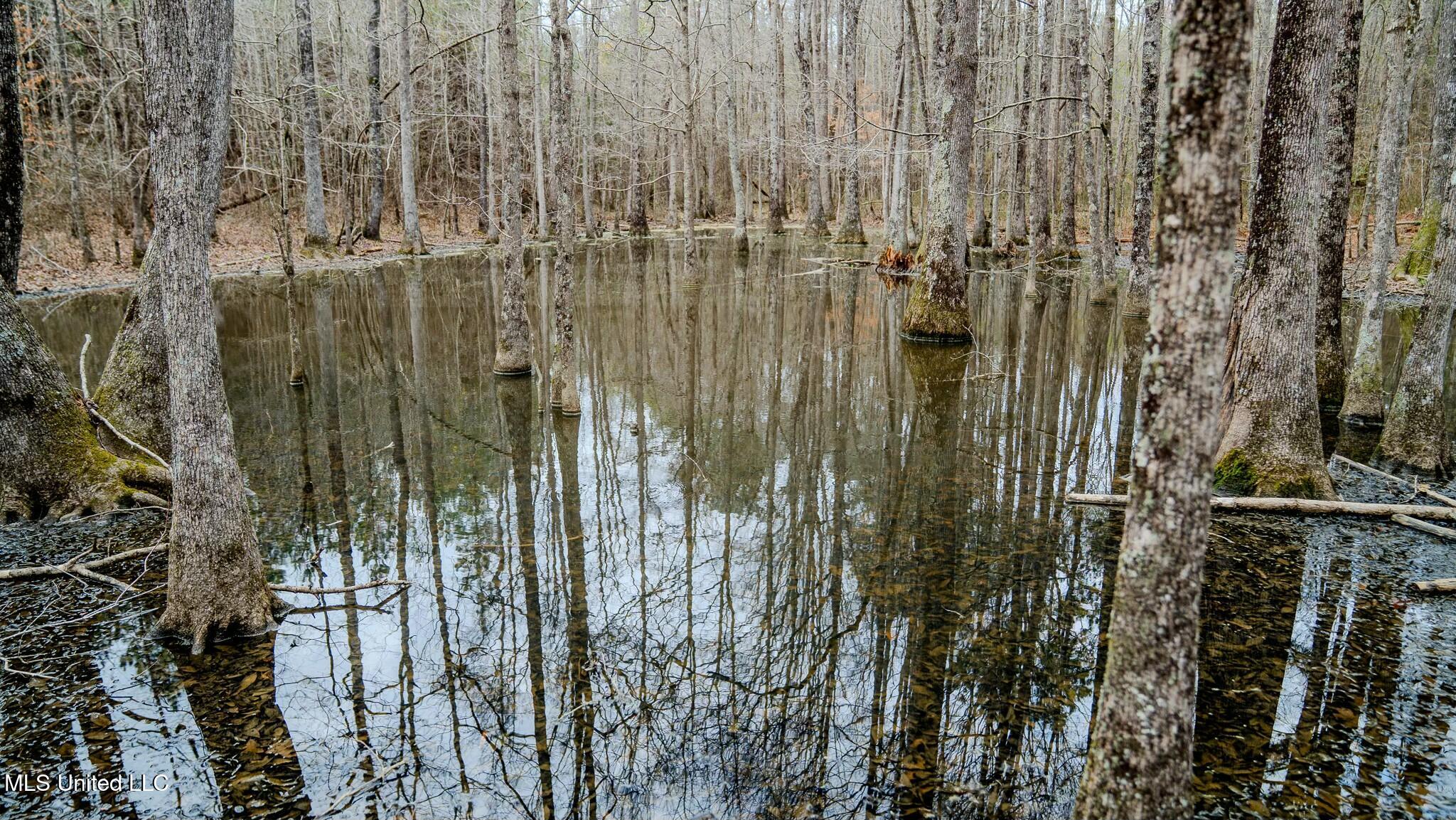 0 Elijah Graham Road Noxapater, MS 39346 - Photo 30 of 50 tempImagemtOH2O