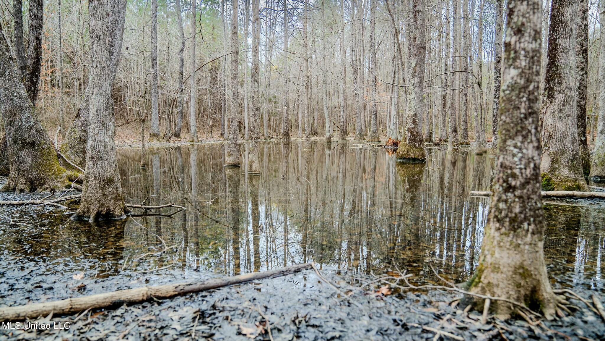 0 Elijah Graham Road Noxapater, MS 39346 - Photo 31 of 50 tempImageAJTKrF