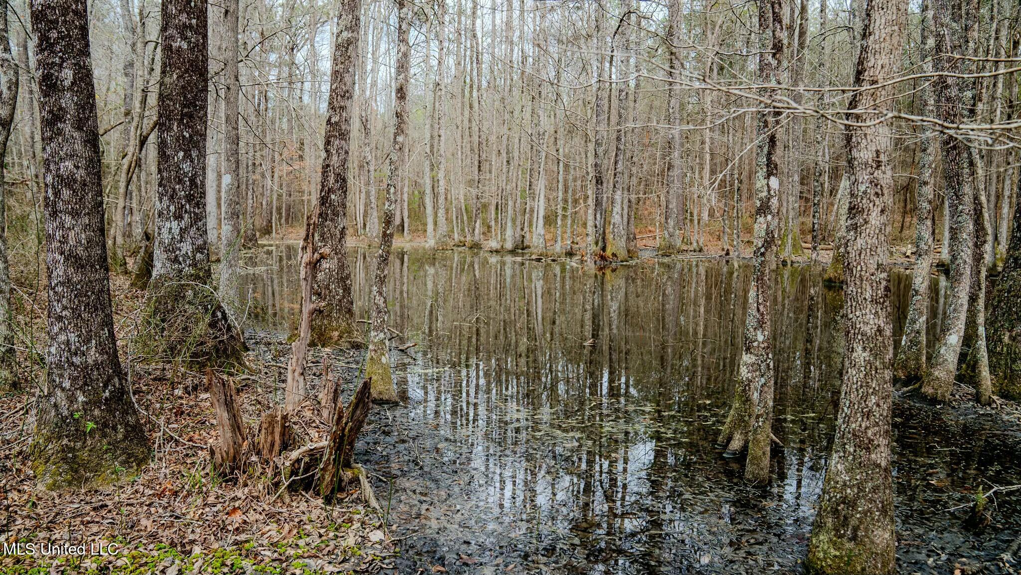 0 Elijah Graham Road Noxapater, MS 39346 - Photo 32 of 50 tempImageYWqdYo