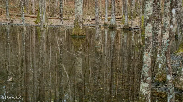 $156,000 | 0 Elijah Graham Road, Noxapater, MS 39346