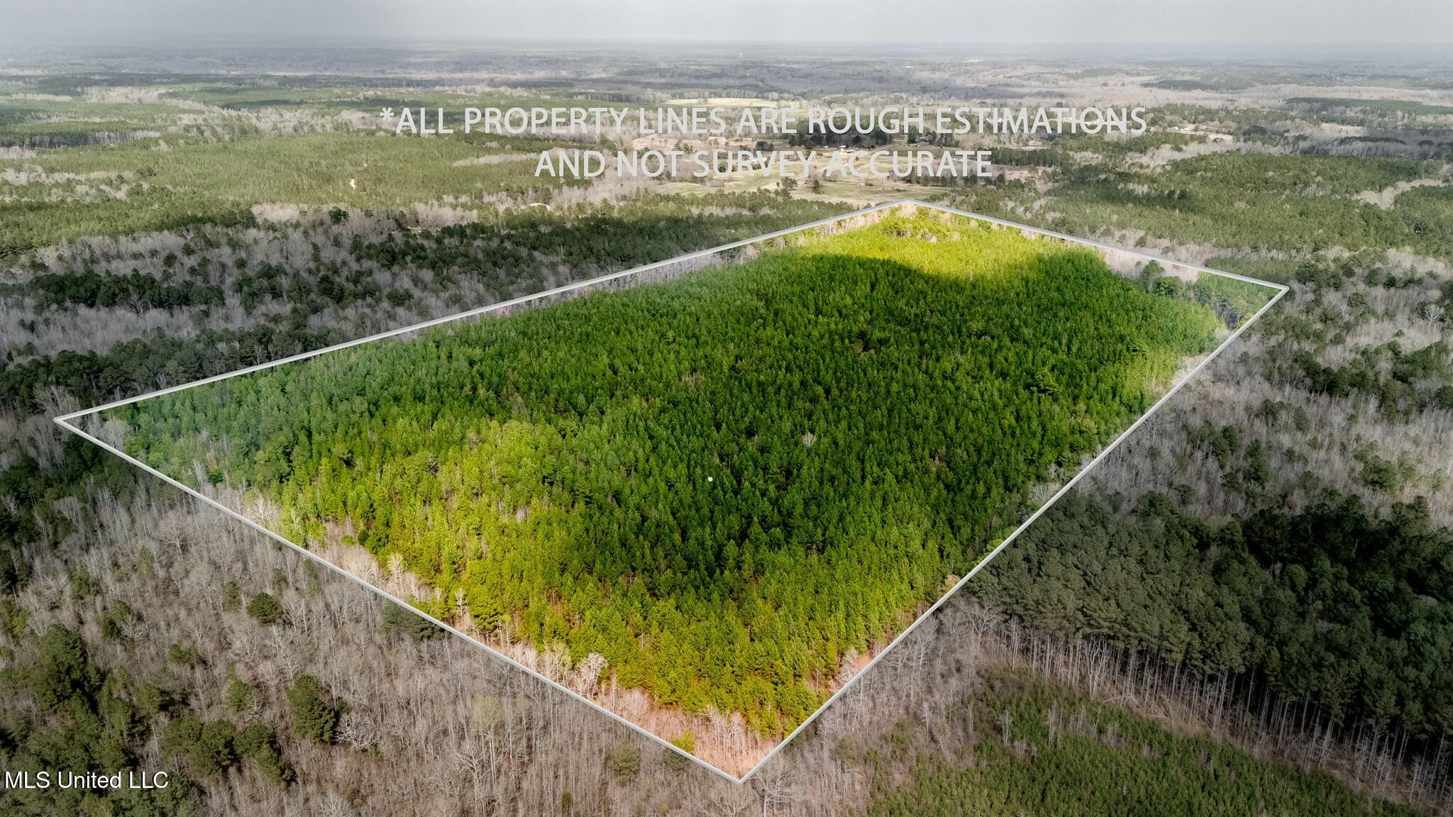 0 Elijah Graham Road Noxapater, MS 39346 - Photo 38 of 50 tempImageC551LQ