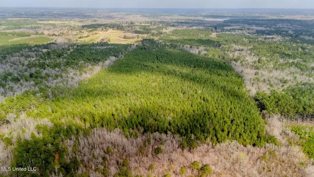 $156,000 | 0 Elijah Graham Road, Noxapater, MS 39346