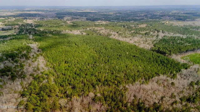 $156,000 | 0 Elijah Graham Road, Noxapater, MS 39346