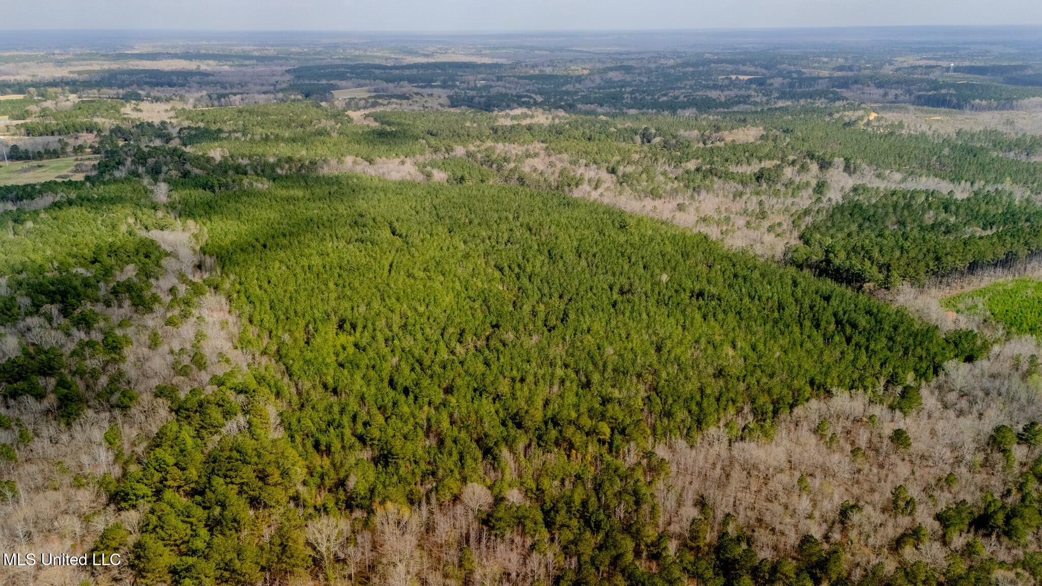 0 Elijah Graham Road Noxapater, MS 39346 - Photo 40 of 50 tempImageHxU0iJ