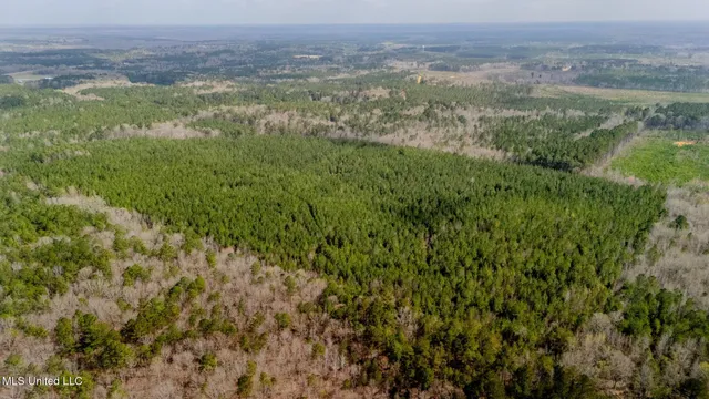 $156,000 | 0 Elijah Graham Road, Noxapater, MS 39346