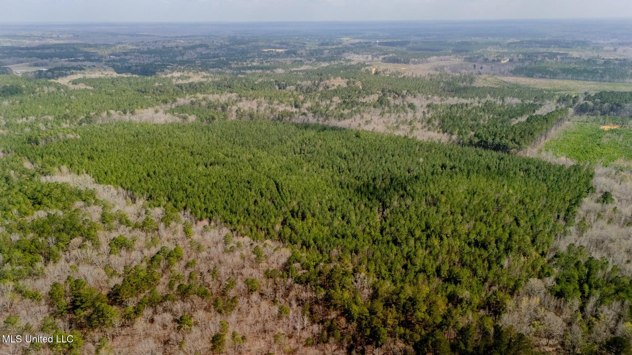 0 Elijah Graham Road Noxapater, MS 39346 - Photo 41 of 50 tempImagez2dHg8