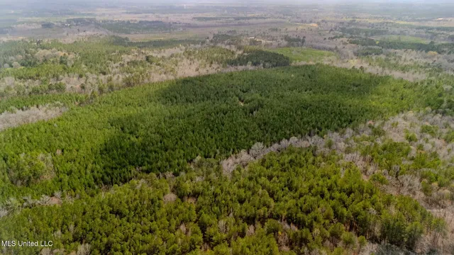 $156,000 | 0 Elijah Graham Road, Noxapater, MS 39346