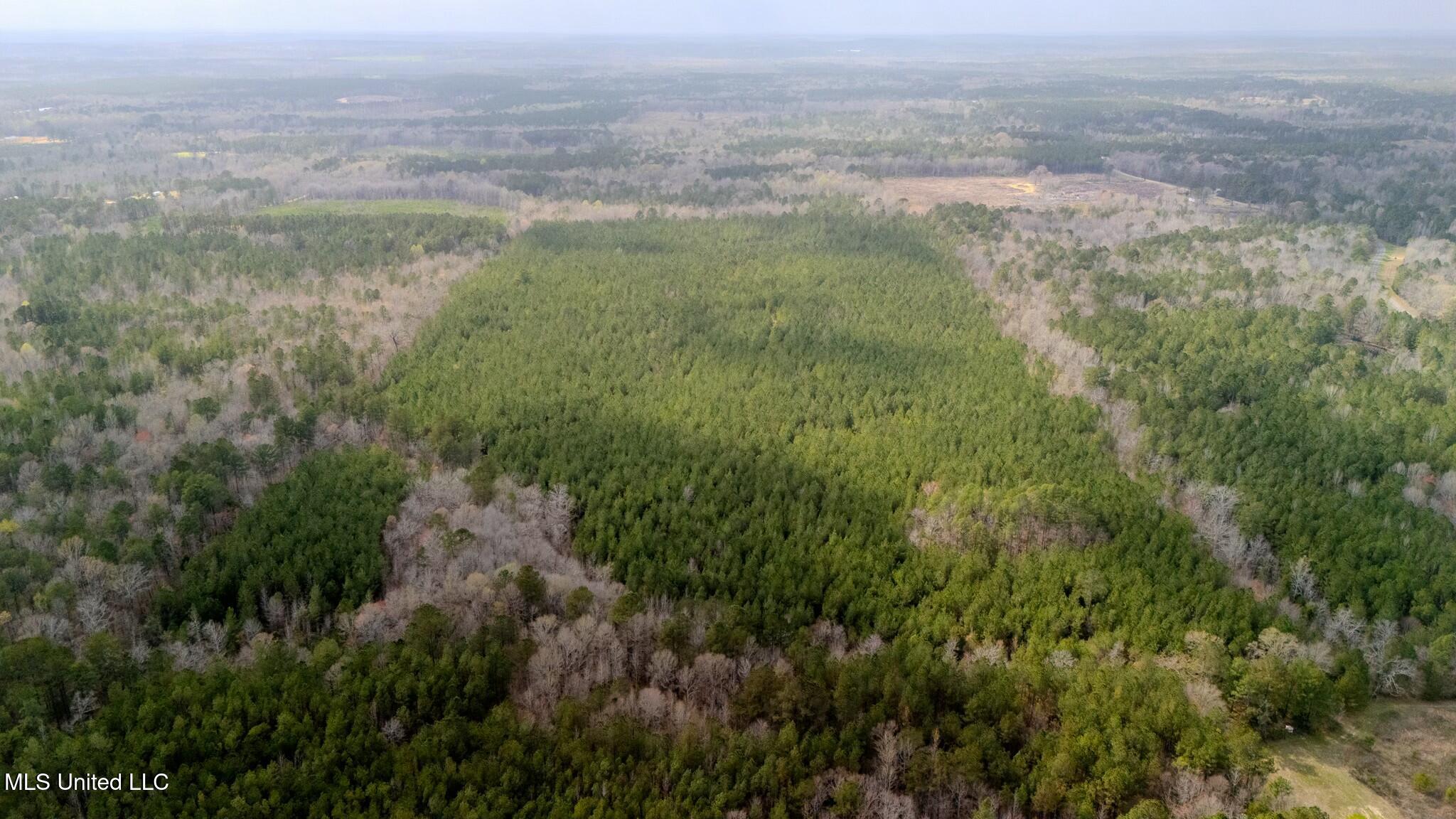 0 Elijah Graham Road Noxapater, MS 39346 - Photo 43 of 50 tempImagemNqxnw