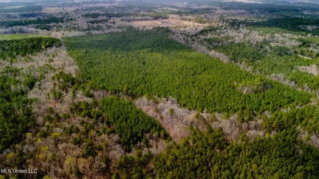 $156,000 | 0 Elijah Graham Road, Noxapater, MS 39346