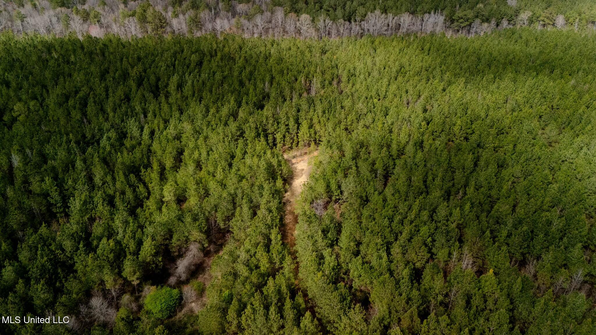 0 Elijah Graham Road Noxapater, MS 39346 - Photo 48 of 50 tempImagerKZodT