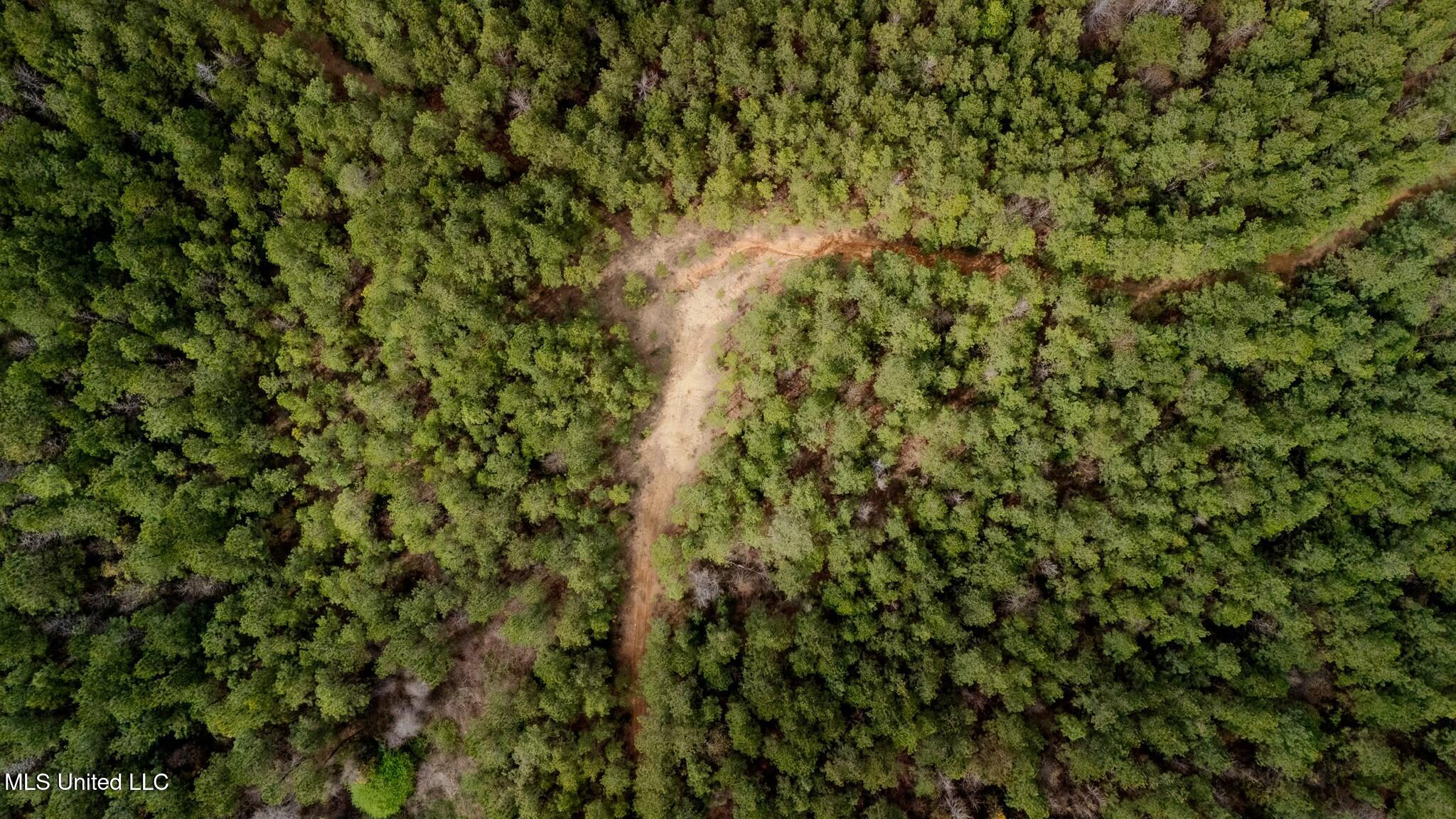 0 Elijah Graham Road Noxapater, MS 39346 - Photo 49 of 50 tempImagevdhTBJ