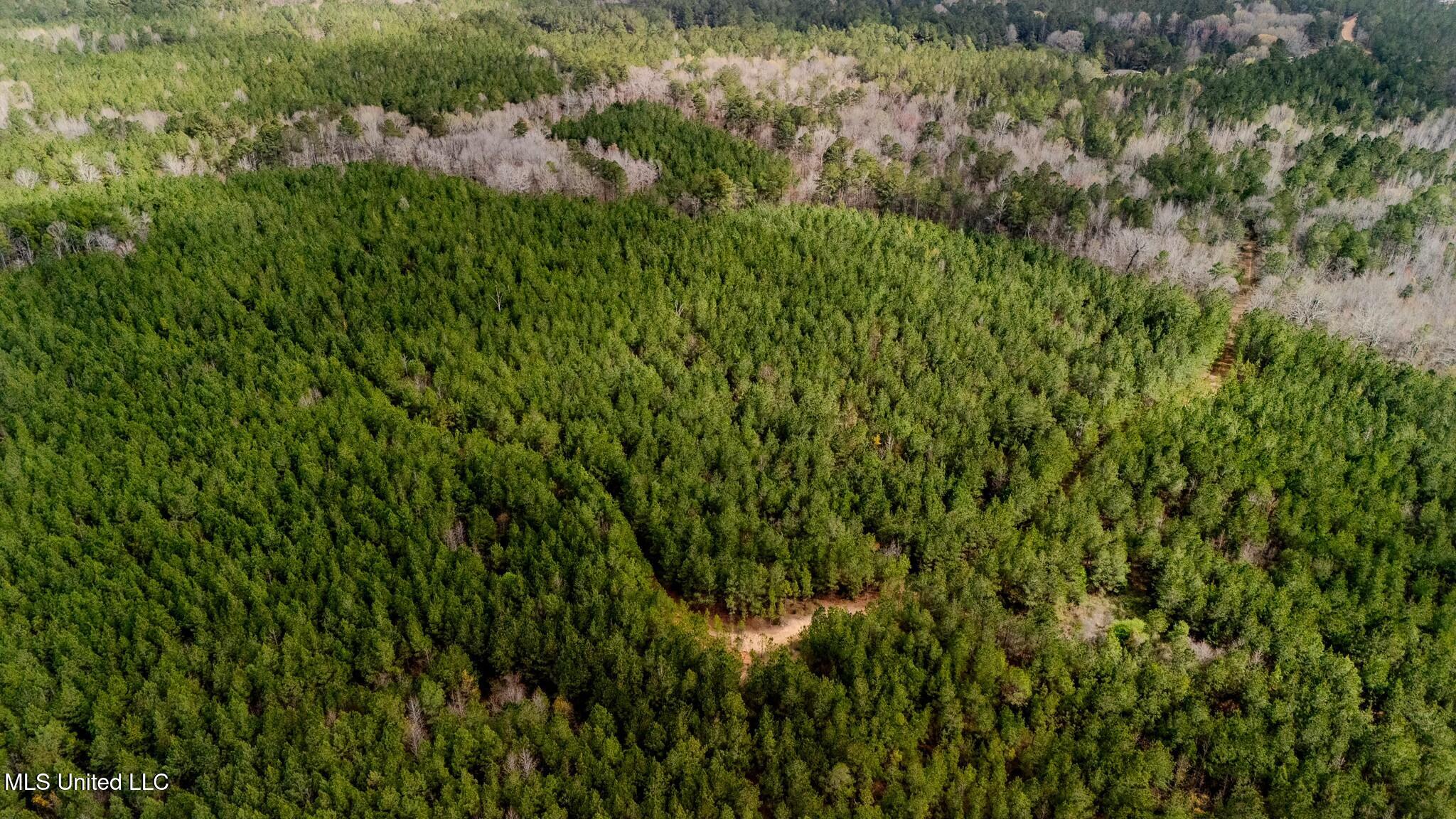 0 Elijah Graham Road Noxapater, MS 39346 - Photo 50 of 50 tempImagePvA7Ig