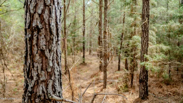 $150,000 | 0 Elijah Graham Road, Noxapater, MS 39346