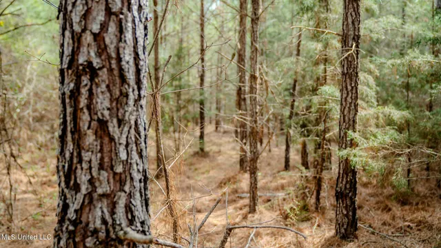 $156,000 | 0 Elijah Graham Road, Noxapater, MS 39346