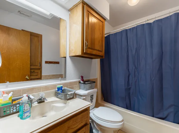 a bathroom with a sink a toilet and shower curtain