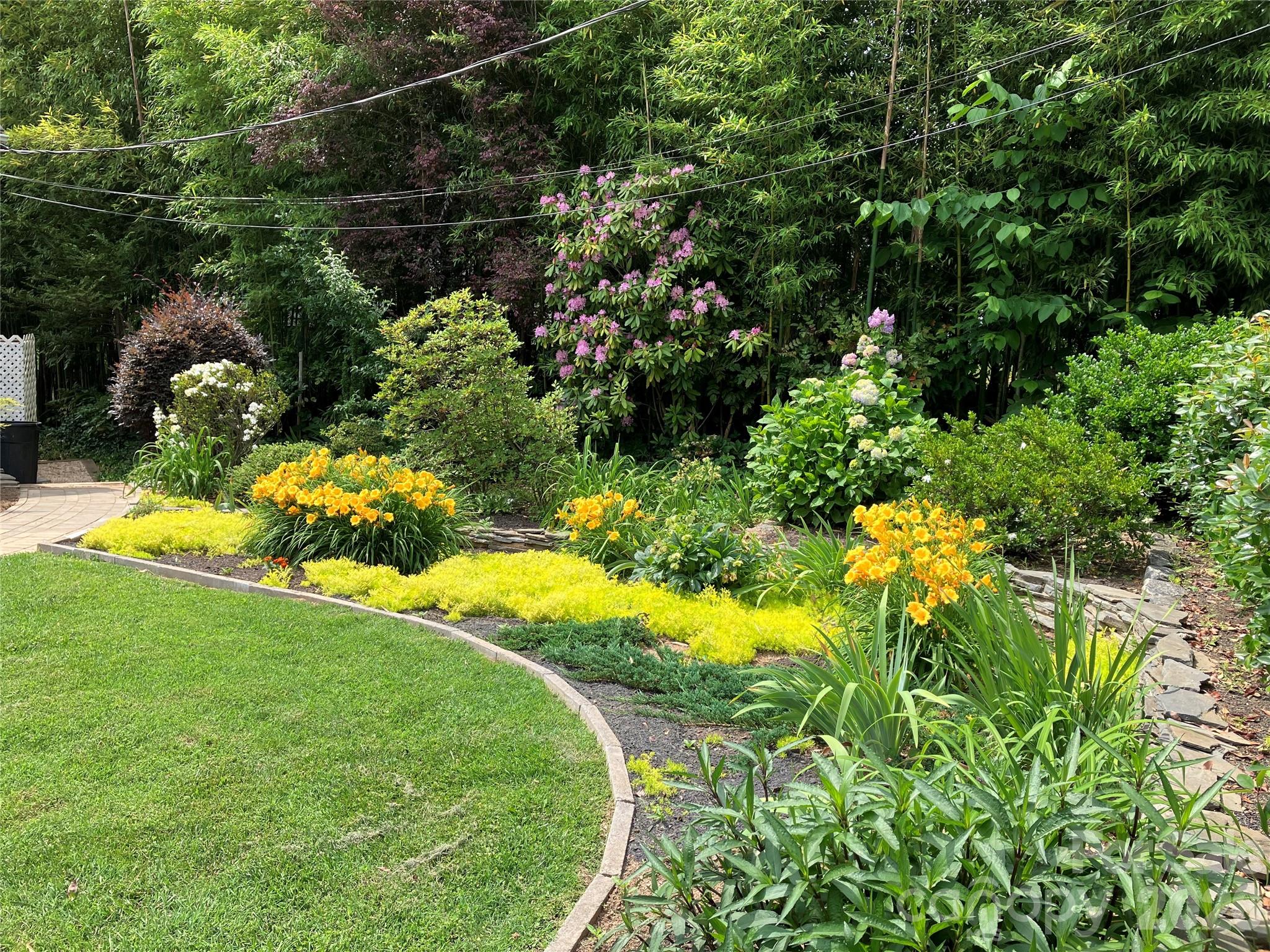 56 Whitney Avenue Tryon, NC 28782 - Photo 33 of 35 a view of a yard