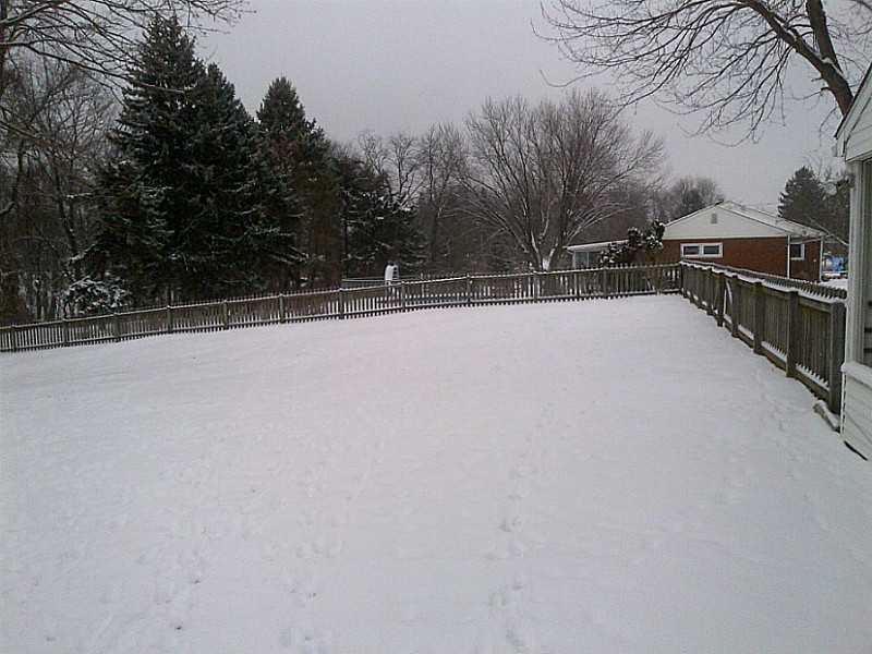 2995 Tuscarawas Road Beaver, PA 15009 - Photo 5 of 15 Yard/Garden. .80 Acres*Mostly Very Level* 4FT. High Fence All the Way Around Property*Perfect for Pets or Children* Low Maintenance*