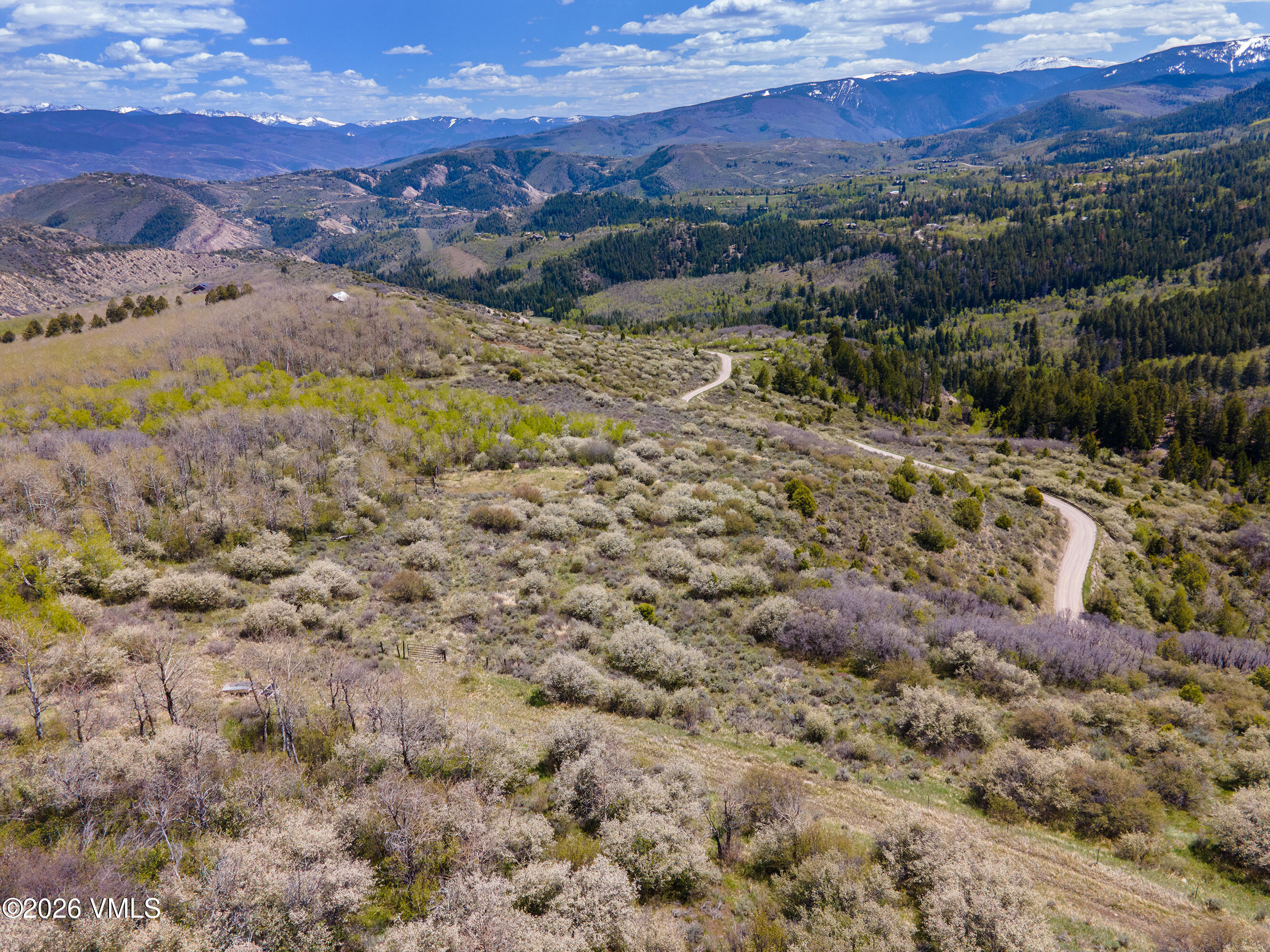 889 Ute Forest Edwards, CO 81632 - Photo 16 of 44 889 Ute Forest Lane Views