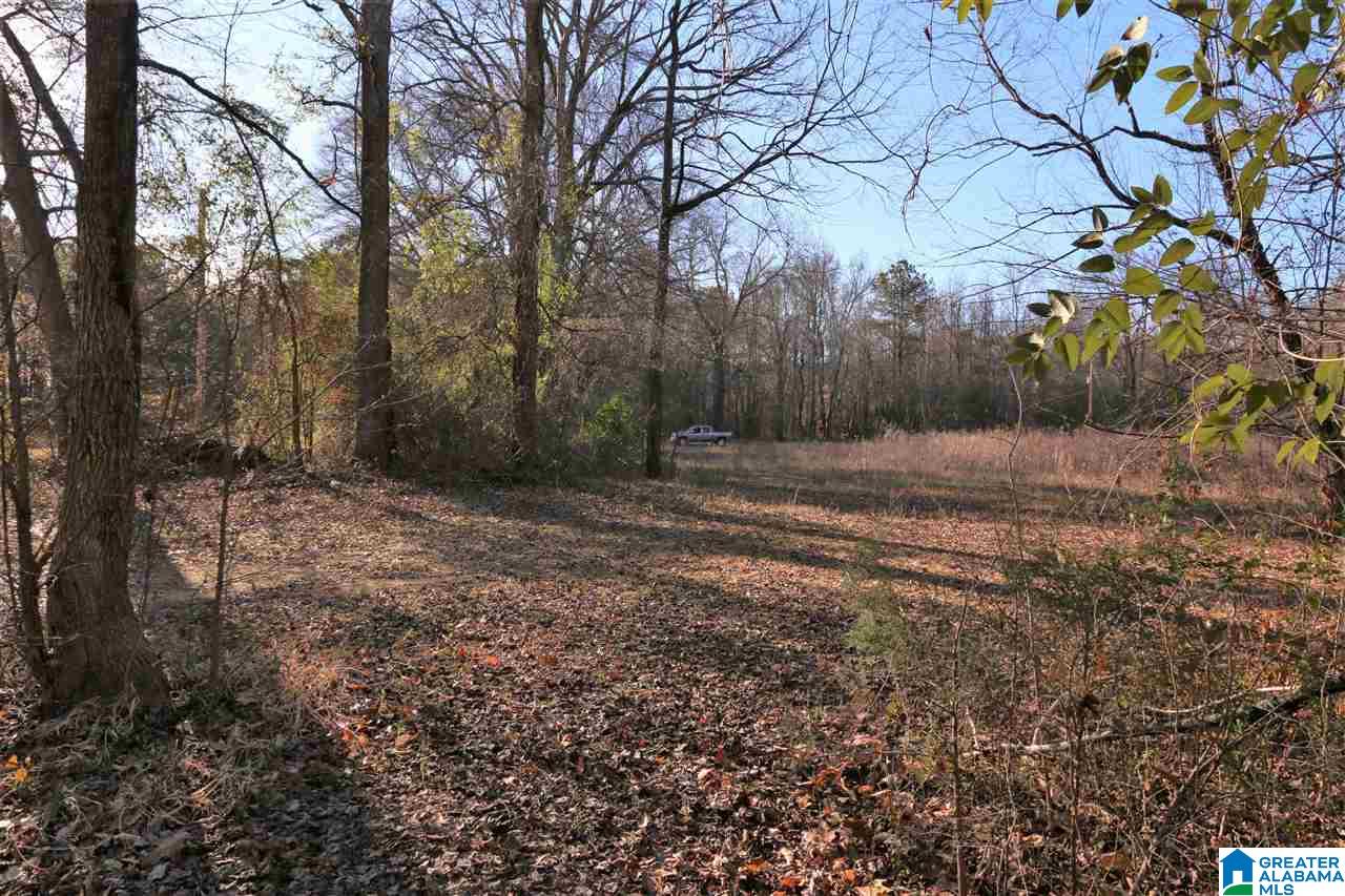 145 County Road, Unit 4 Cedar Bluff, AL 35959 - Photo 19 of 29