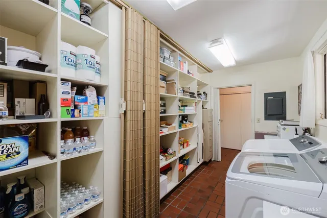 a view of a yard with plants and large trees