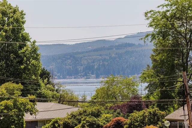 a view of a yard with plants and trees