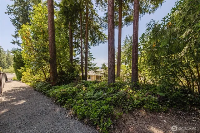 a view of a yard with a slide