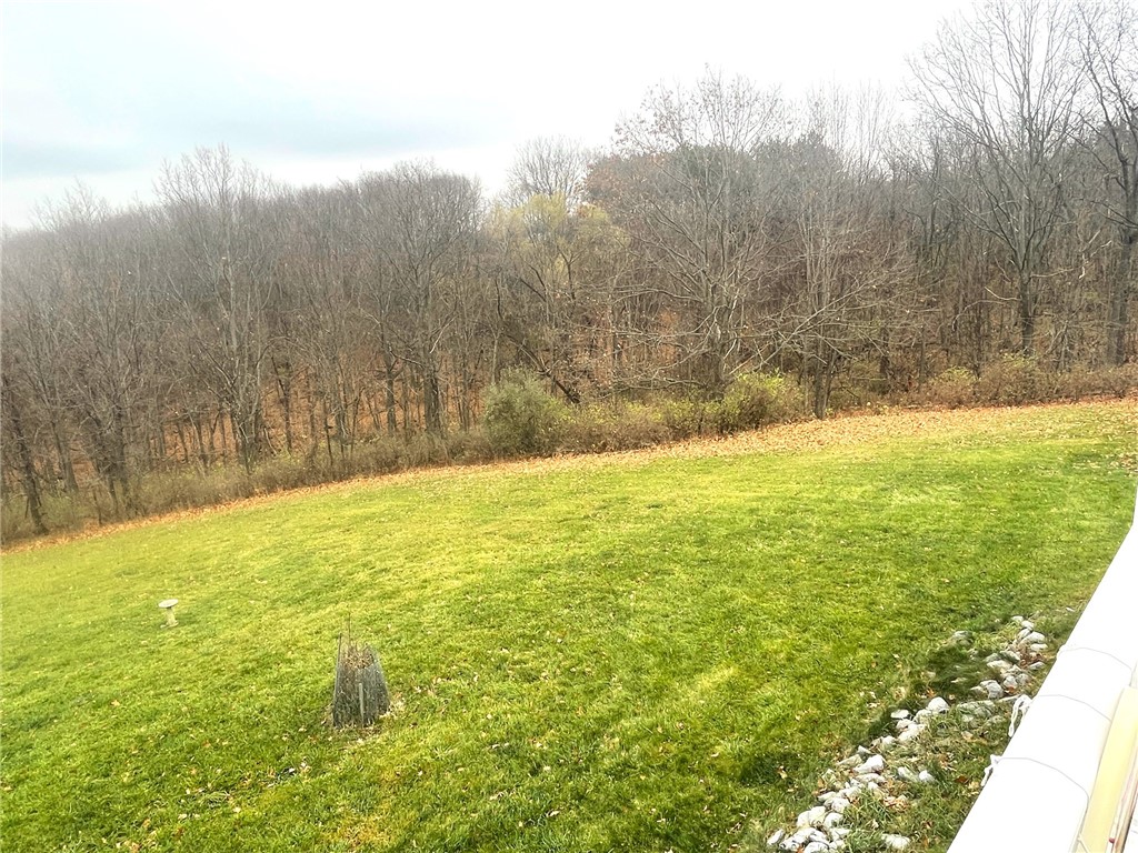 1007 Newell Road Middlesex, NY 14507 - Photo 8 of 32