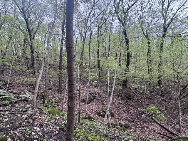 59498 Lakota Trail Road Eastman, WI 54626 - Photo 35 of 36