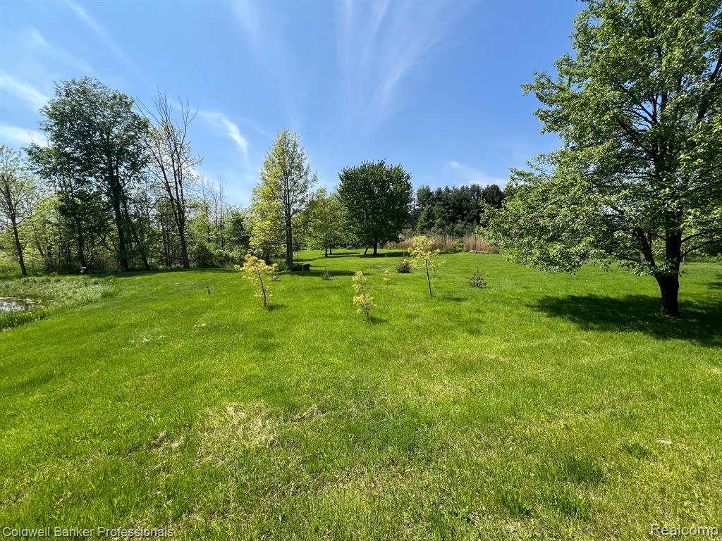 6125 Jefferson Road North Branch, MI 48461 - Photo 40 of 48