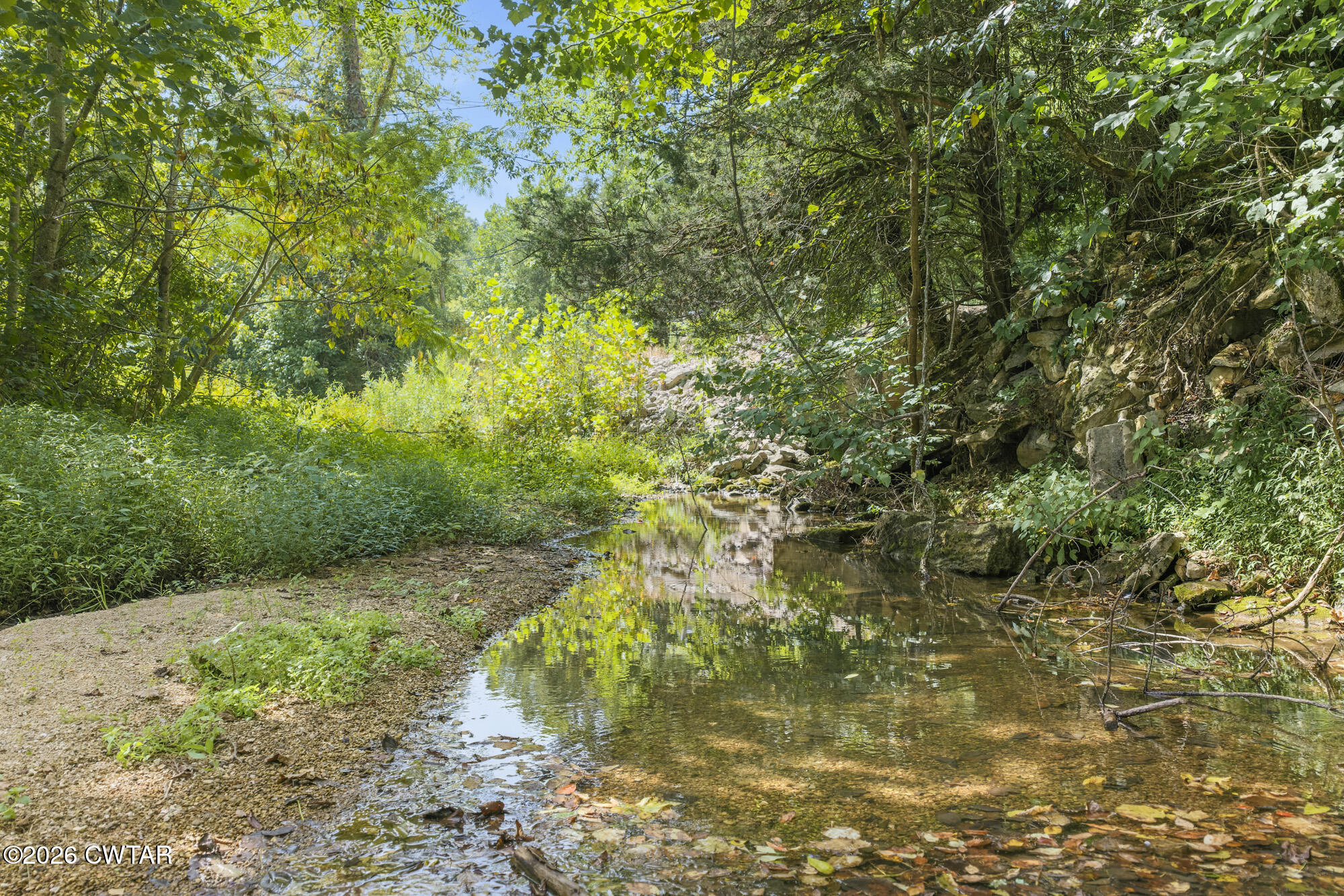 25 Cardinal Road Linden, TN 37096 - Photo 35 of 41 DJI_20260815103756_0814_D