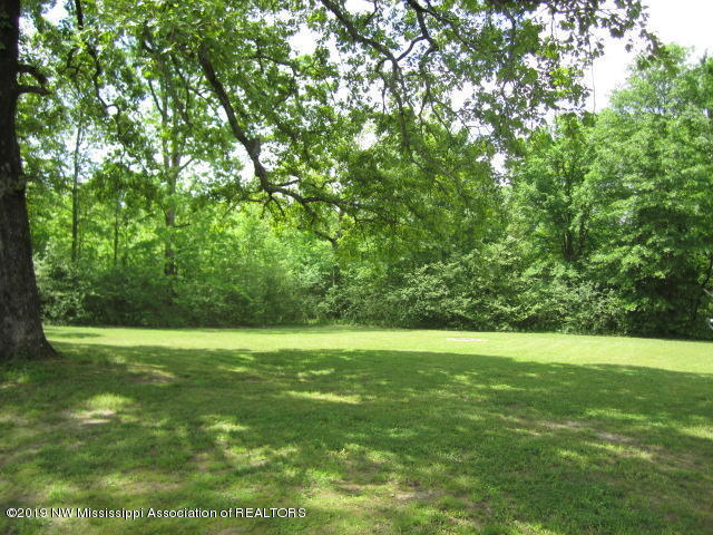 1063 Shinault Road Byhalia, MS 38611 - Photo 17 of 27 IMG_2270