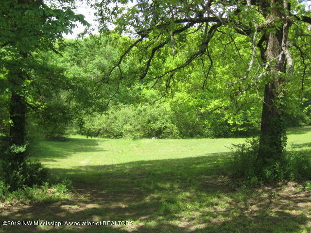 1063 Shinault Road Byhalia, MS 38611 - Photo 18 of 27 IMG_2272