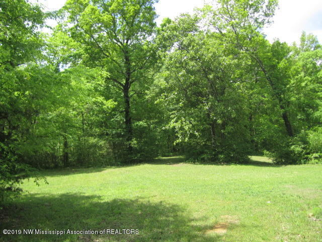 1063 Shinault Road Byhalia, MS 38611 - Photo 21 of 27 IMG_2275