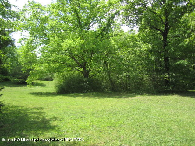 1063 Shinault Road Byhalia, MS 38611 - Photo 22 of 27 IMG_2276