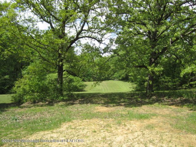 1063 Shinault Road Byhalia, MS 38611 - Photo 24 of 27 IMG_2278