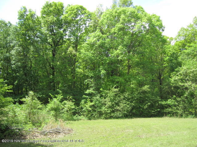 1063 Shinault Road Byhalia, MS 38611 - Photo 25 of 27 IMG_2279