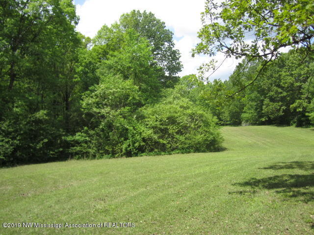 1063 Shinault Road Byhalia, MS 38611 - Photo 26 of 27 IMG_2280