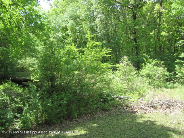 1063 Shinault Road Byhalia, MS 38611 - Photo 27 of 27 IMG_2281