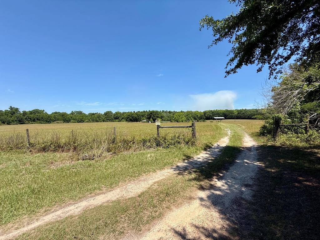 841 McCallister Road Dothan, AL 36301 - Photo 3 of 39
