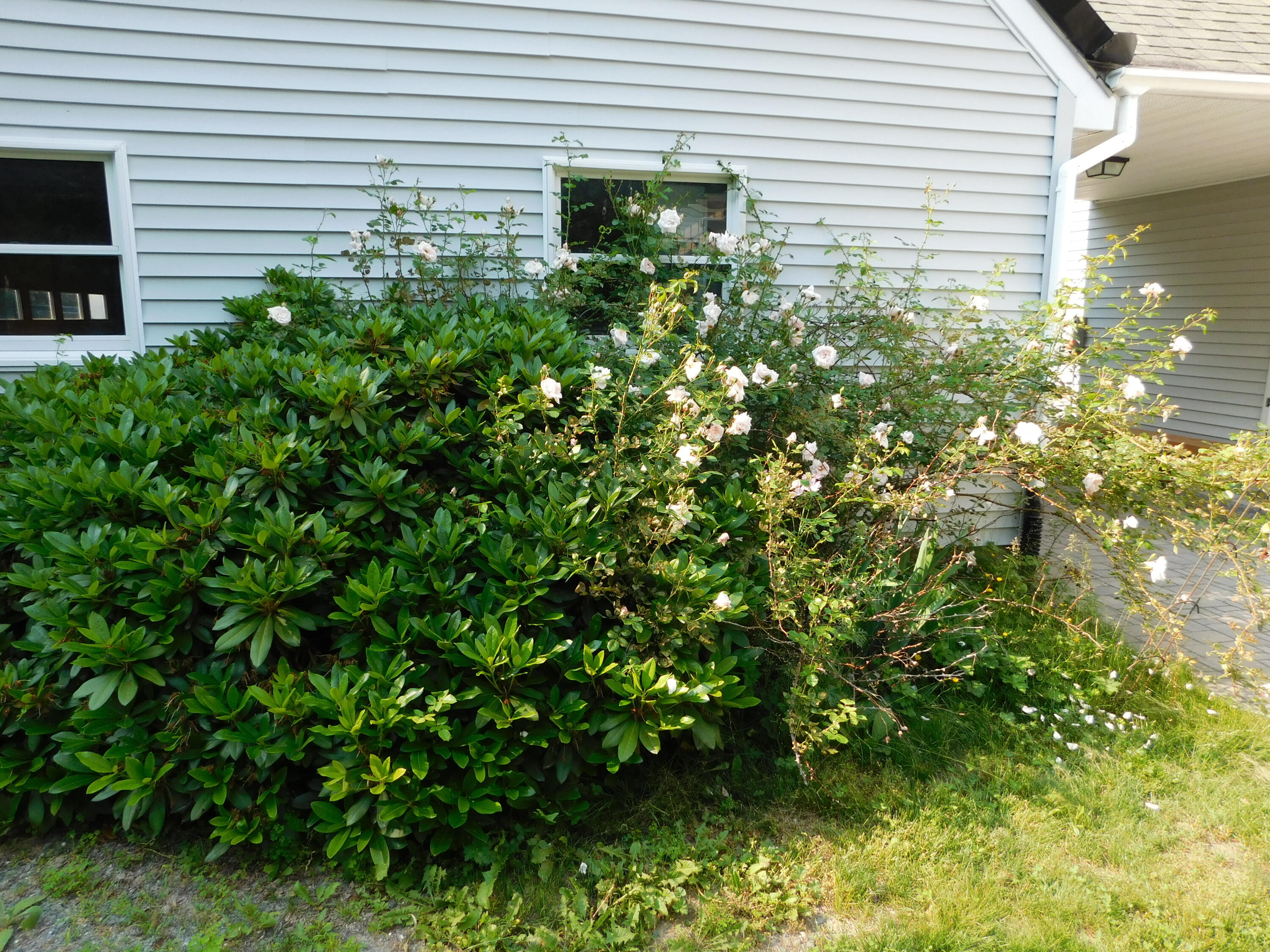 235 Nicolin Road Ellsworth, ME 04605 - Photo 60 of 152 DSCN1139