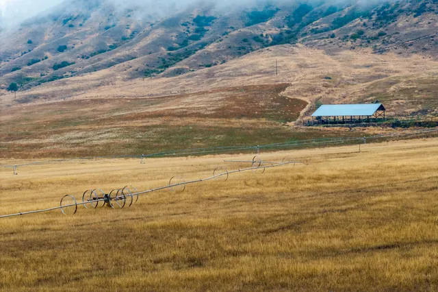 $1,595,000 | 361 Lone Ranch Creek Road, Danville, WA 99121