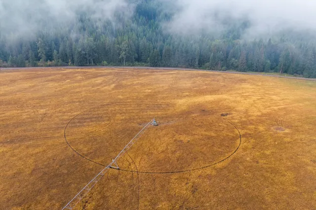 $1,595,000 | 361 Lone Ranch Creek Road, Danville, WA 99121