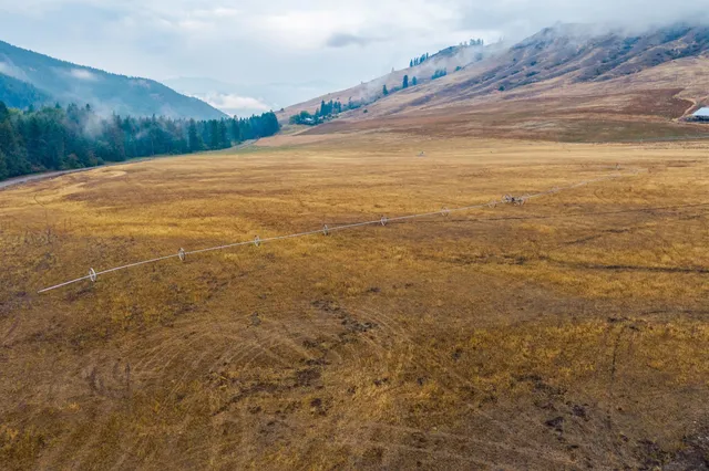 $1,595,000 | 361 Lone Ranch Creek Road, Danville, WA 99121