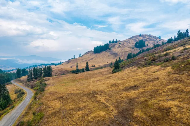 $1,595,000 | 361 Lone Ranch Creek Road, Danville, WA 99121