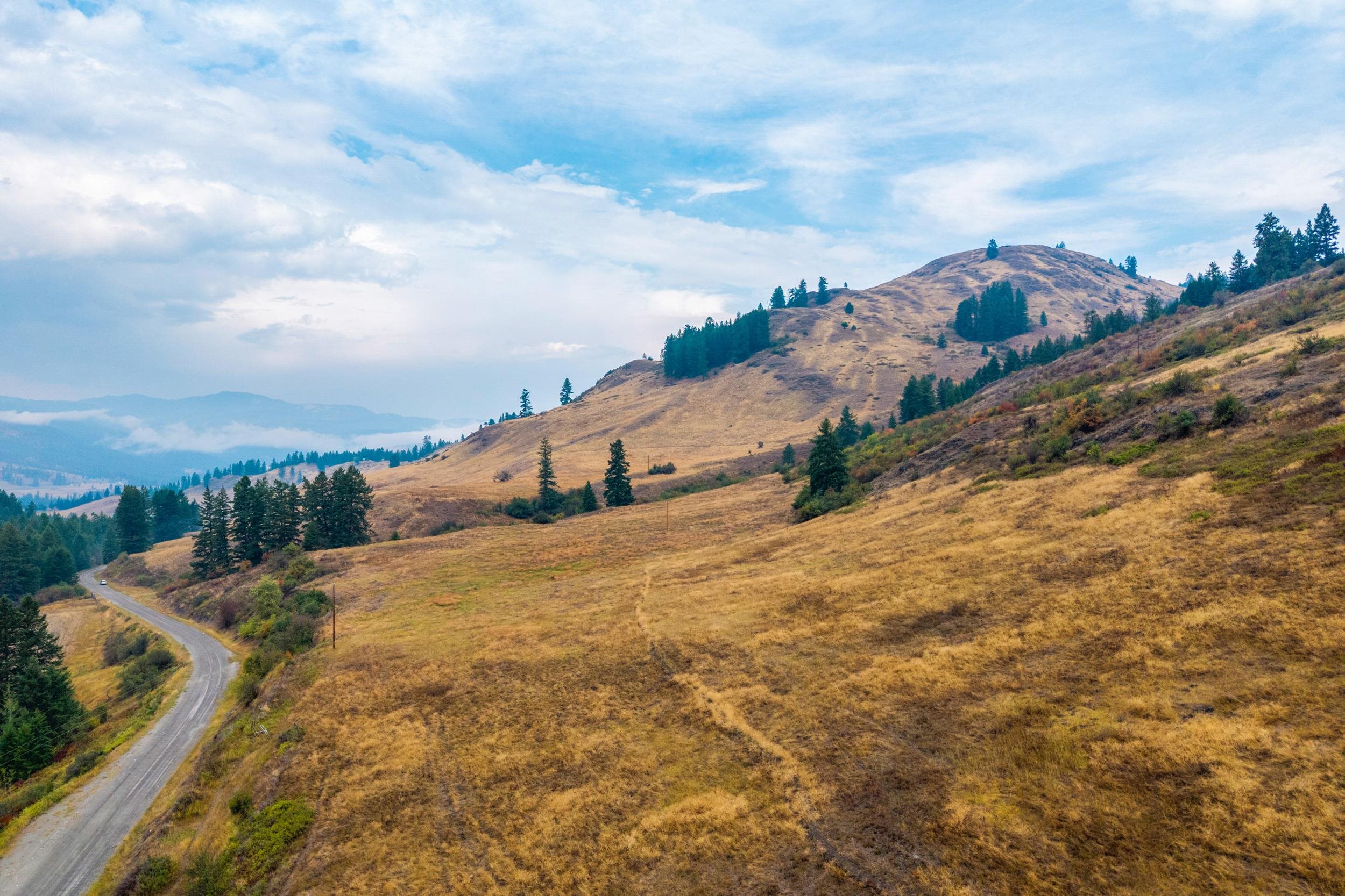 361 Lone Ranch Creek Road Danville, WA 99121 - Photo 33 of 39