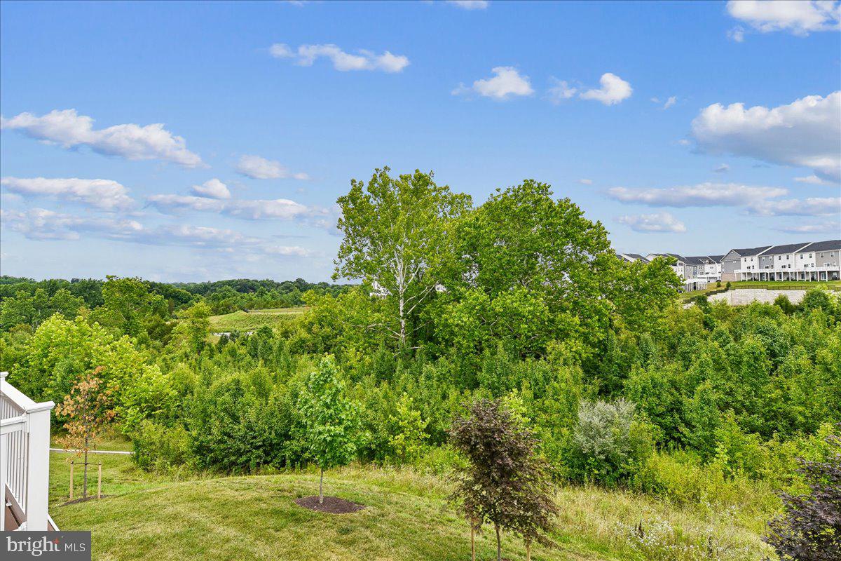 2209 Woodlands Road Windsor Mill, MD 21244 - Photo 57 of 75 OPEN SPACE
