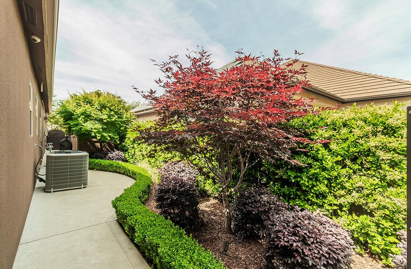 1807 North Rector Avenue Clovis, CA 93619 - Photo 40 of 55