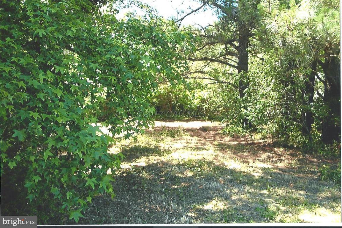32135 Perryhawkin Road Princess Anne, MD 21853 - Photo 3 of 6